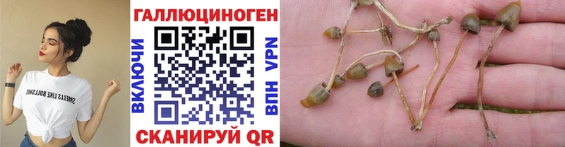 мориарти состав  закладки  Гусь-Хрустальный  Псилоцибиновые грибы MAGIC MUSHROOMS 