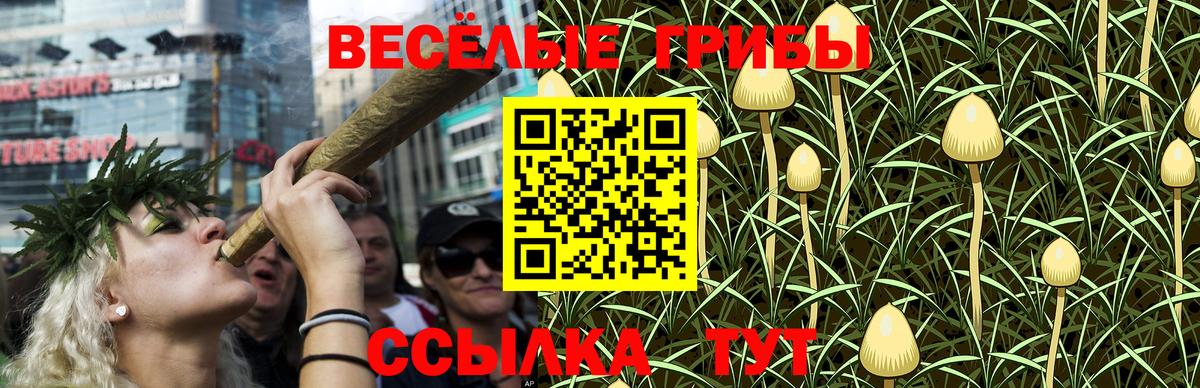 Псилоцибиновые грибы Psilocybe Гусь-Хрустальный