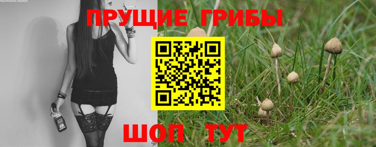 Гусь-Хрустальный  Галлюциногенные грибы ЛСД  даркнет сайт  Вход с VPN 